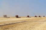 Андрей Бочаров: «Волгоградские аграрии собрали три миллиона тонн зерна»