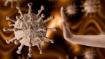 О рекомендациях как выбрать антисептик против коронавируса