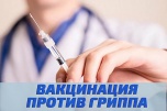 Более полумиллиона жителей Волгоградской области сделали прививку от гриппа
