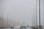 В Волгоградской области ожидается туман и похолодание до -4°C