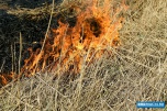 В Волгоградской области в ноябре сохраняется чрезвычайная пожароопасность