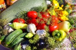 Волгоградские аграрии собрали почти 580 тысяч тонн овощей