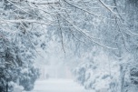 В Волгоградской области в выходные ожидаются снег и морозы