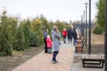 133 новых парка и сквера появились в Волгоградской области