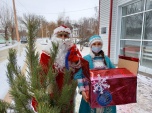 Елки в ковид-госпиталях, подарки семьям медиков и ветеранам — добровольцы организуют праздник для тех, кому нужна поддержка