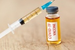 Вакцина «ЭпиВакКорона» не оказывает негативного влияния на здоровье будущего потомства