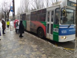 «Единая Россия» добилась принятия во втором чтении законопроекта о запрете высаживать детей-безбилетников из общественного транспорта
