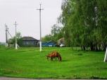В Волгоградской области стартовал региональный этап фотоконкурса «Мое любимое село»