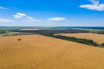 Волгоградские аграрии перешли «экватор» осенней посевной кампании