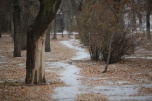 Снегопад придет в Волгоградскую область в начале рабочей недели