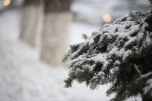 Сильные морозы в Волгоградской области начнутся с 22 декабря