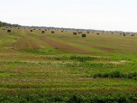 Более 74 тыс. га земель сельскохозяйственного назначения проконтролировано в Волгоградской области за прошедший год