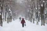 Синоптики прогнозируют волгоградцам продолжение снегопада 10 марта