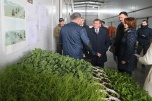 Будем с овощами: Андрей Бочаров принял решение о разработке регпрограммы развития семеноводства в Волгоградской области