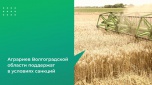 Аграриев Волгоградской области поддержат в условиях санкций