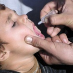 И снова о полиомиелите…