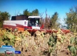 Волгоградское предприятие расширяет линейку уникальных агрегатов для сельского хозяйства