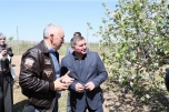 Санкции не помеха: Волгоградская область наращивает производство соков, яблок и немолока