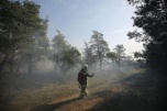МЧС объявило о 4-м классе горимости леса в Волгоградской области