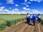 В Волгоградской области применяют современные наработки для развития зернового комплекса