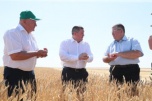 Волгоградские аграрии дали стране первый миллион тонн зерна