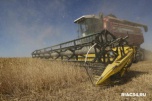 Волгоградские аграрии намолотили 3,2 млн тонна зерна