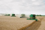 Урожай-2022: волгоградские аграрии преодолели планку в 4 млн тонн зерна
