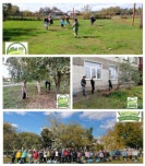 Акция «Чистый двор» прошла в Завязенской школе