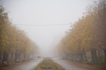 Заморозки и туманы ожидаются в Волгоградской области в начале недели