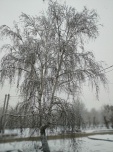 В Волгограде до – 18 морозы продержатся три дня