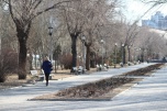 Гололедица и мороз до -21 ожидаются в Волгоградской области 7 декабря