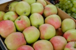 Эксперты рассказали, чем полезны яблоки для организма