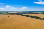 Государственная поддержка АПК: Волгоградская область заключила соглашения с Министерством сельского хозяйства РФ