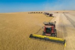 Почти 100 тысяч гектаров земли вернули в сельхозоборот в Волгоградской области