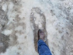 Два с половиной фута: волгоградцы напали на след снежного человека