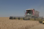 В Волгоградской области на господдержку весенних полевых работ направят 1 млрд рублей
