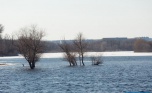 Гидрометцентр: на реках в Волгоградской области вода поднимается до опасных отметок