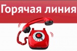 В Волгоградской области открыты «горячие линии» по поддержке семей мобилизованных
