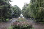 Дожди и грозы при +20 ожидаются в Волгоградской области 25 апреля