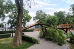 Штормовой ветер до 25 м/с ожидается в Волгоградской области 12 июня
