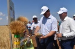 Новые сорта, агротехнологии, сельхозтехника — волгоградские аграрии обменялись опытом на площадке ВолГАУ