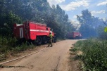 Под Волгоградом из-за пожара эвакуировали детский лагерь «Орлёнок на Ахтубе»