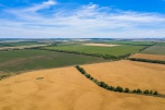 В хозяйствах волгоградского региона продолжается заготовка кормов