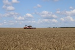 Уборка озимых зерновых в Киквидзенском районе близка к завершению