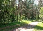 Уже 50% лесного фонда Волгоградской области охватывает новая цифровая система мониторинга