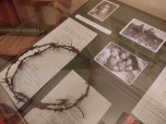 В Волгоградской области открываются экспозиции, посвящённые геноциду во время войны