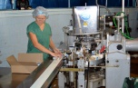На Михайловском молочном комбинате станут оптимизировать процесс производства сыра чеддер