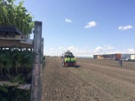 Урожай в миллион тонн планируют собрать волгоградские овощеводы в этом году