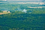 В Волгоградской области продлевают ограничение на посещение лесов