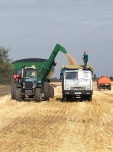 Подводим итоги: в Киквидзенском районе завершилась уборка зерновых